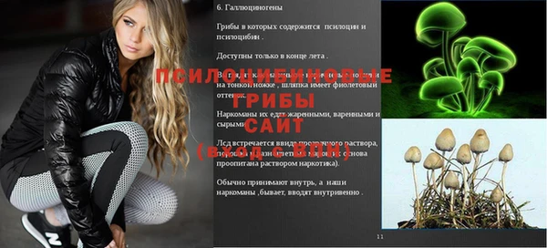 герыч Балахна